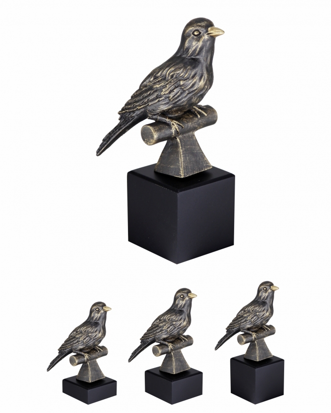 6005-125 Ornitologia, Pássaro.