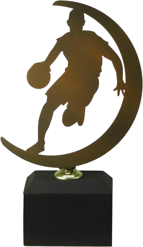 Basquetebol