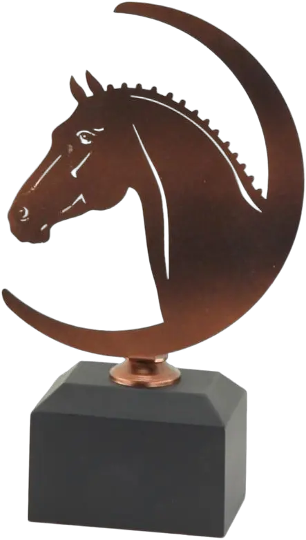 Bombeiro