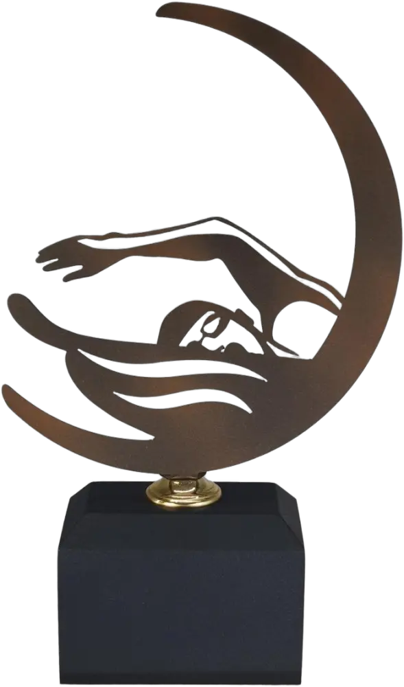Natação