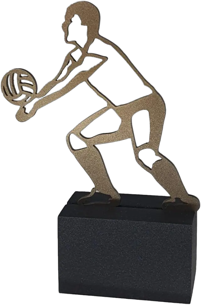 Voleibol