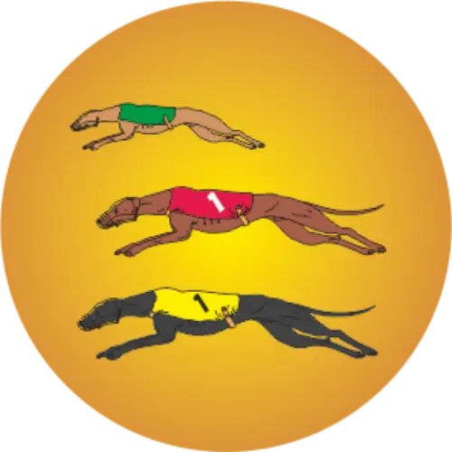 Galgos 2