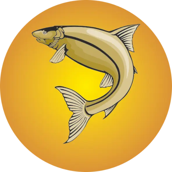 Pesca (Peixe) 2