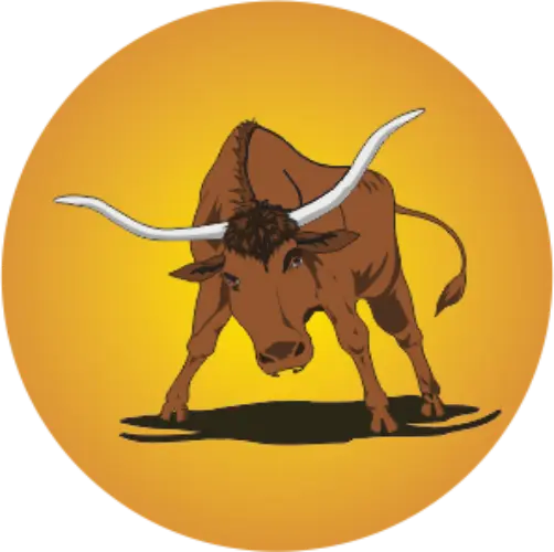 Tauromaquia 2