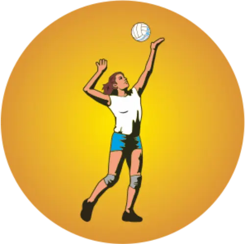 Voleibol 2