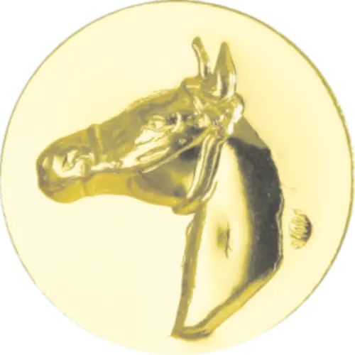 Hipismo (Cavalo)