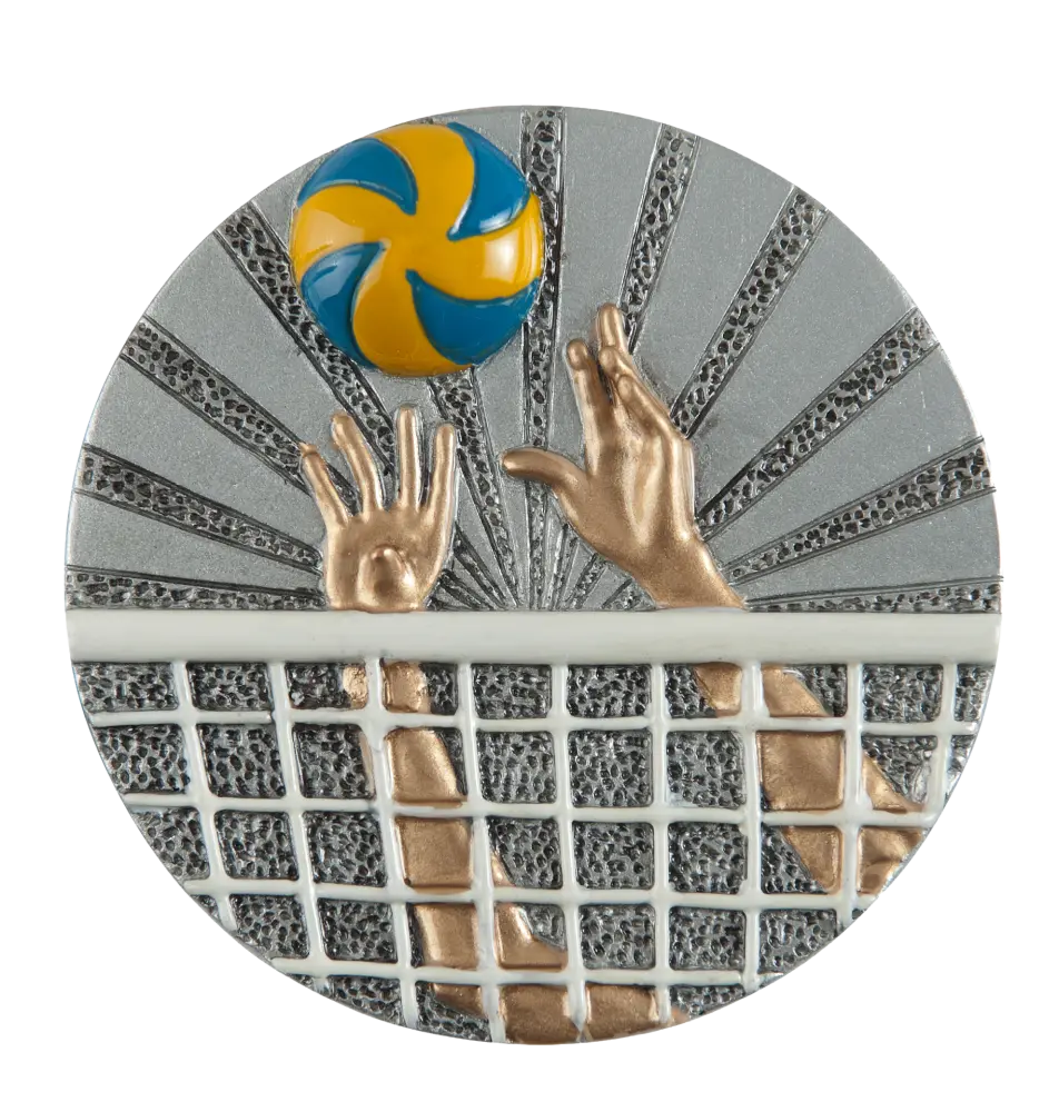 Discos Resina - Voleibol